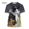 Women's T-Shirts Harajuku Cat Graphic Print 3D Tops Summer Short Sleeve Casual Tees Kawaii Animal T Shirt