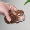 Silicone Pig Doll Cute Animal Toy Lifelike Miniature for