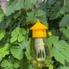 Plastic Fruit Fly Trap Killer Pest Control Fly Bee Trap Drosophila Trap Anti Fly Fruit Fly Killer Catcher Orchard Insect Traps