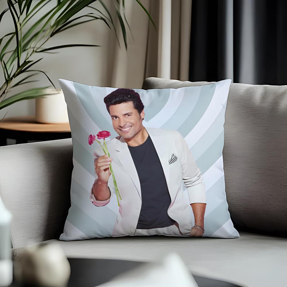 Hot CChayanneing Cushion Cover Antidustmite Pillowcase Invisible Zipper Silky Short Plush Sofa Cushion Cover