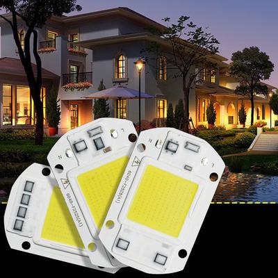 Hot! 220V LED Floodlight 20W/30W/50W White/Warm Light COB Chip Integrated Smart IC Driver Lamp