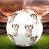 Cute Puppy Indoor Size 5 Soccer Ball Colorful Machine Stitched PVC Competition Ready Durable High-Bounce