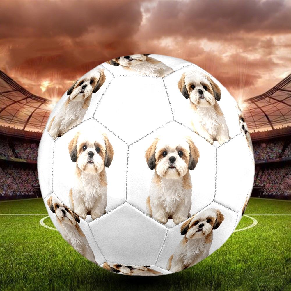 Cute Puppy Indoor Size 5 Soccer Ball Colorful Machine Stitched PVC Competition Ready Durable High-Bounce