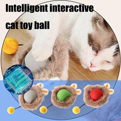 Gatos – Juguetes para gato