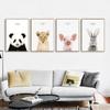 Tier Poster und Drucke Rabbite Giraffe Schwein Panda Löwe Leinwand Malerei Kinderzimmer Wand Kunst Nordic Bild Kinderzimmer Dekoration