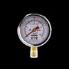 Hongqi YTN-60 Pressure Gauge (CN version)