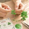 3D Beaded Plant Spirits DIY Kit 4-Piece Set Includes Step-by-Step Instructions All Materials Included Beginner Friendly Crafting Project