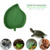 Reptile Dual-Use Feeding & Drinking Bowl - Easy To Clean for Small Pets