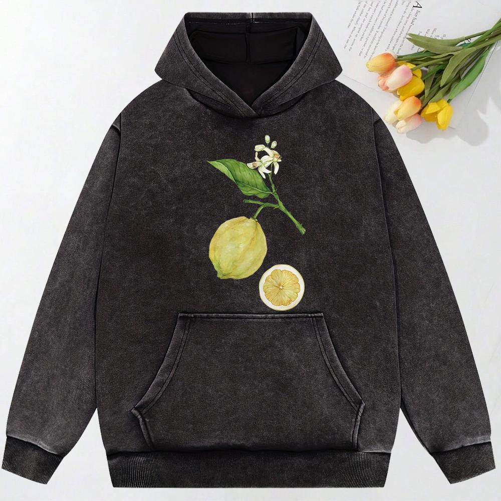 Lemon Branches Simple Print Washed Sweatshirt Couple Hip Hop Loose Hoody Autumn Cotton Streetwear Soft Women Hoodie