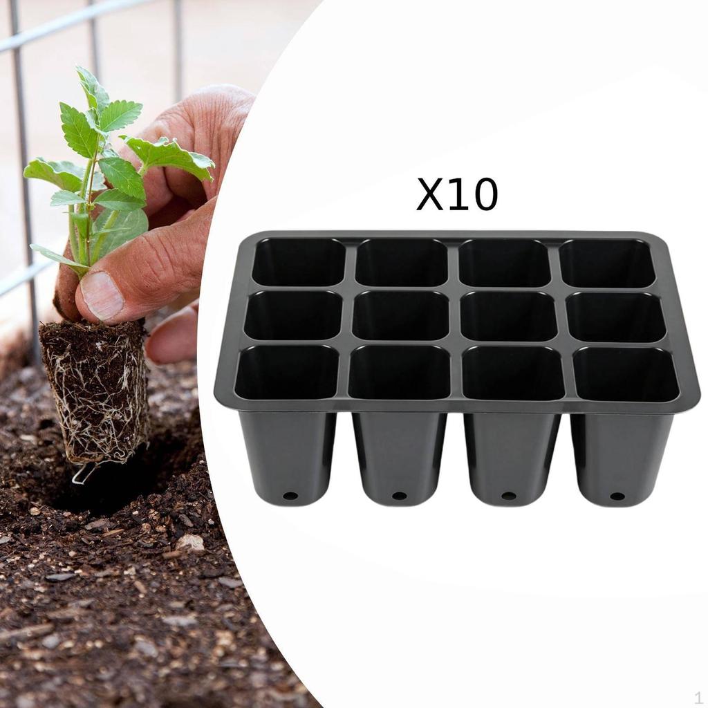 10 Growing Trays, Reusable Suitable for Home In Greenhouses