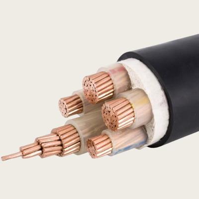 Afdichtmachine Koperen Kern Kabel CN-stekker (adapter meegeleverd)