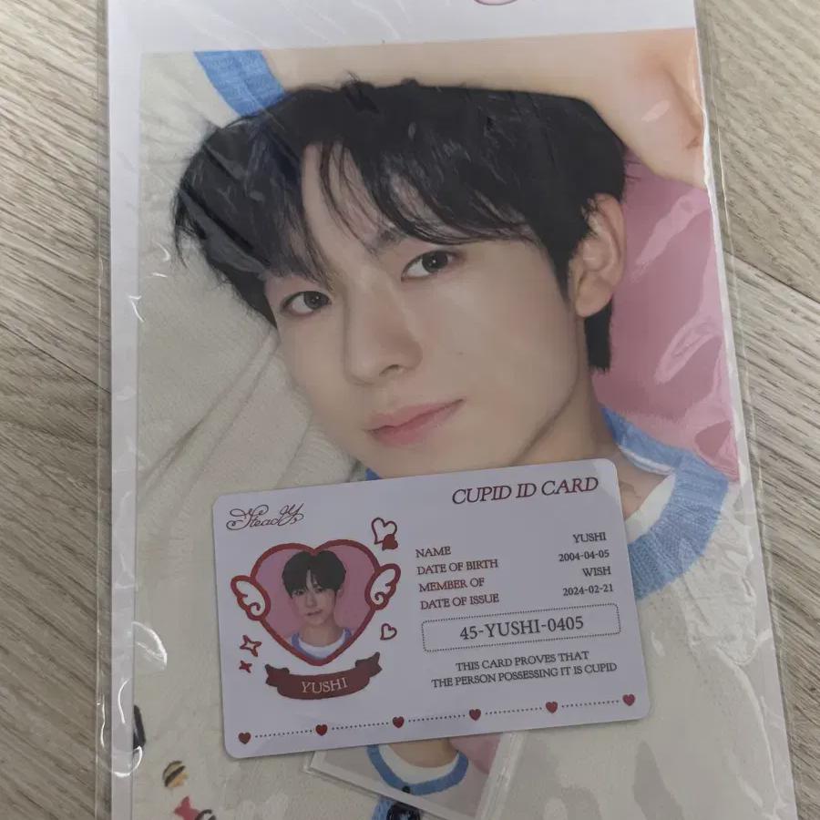 NCT Wish Steady Popup Store Yushi Photo Set Unopened