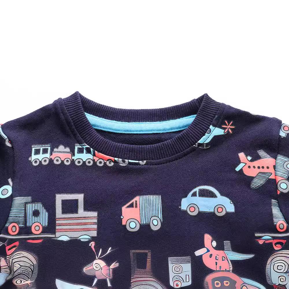 European Style Boys' Autumn/Winter Cotton Long Sleeve Hoodie