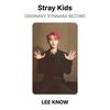 Stray Kids ODDINARY SYNNARA RECORD Official Photocard
