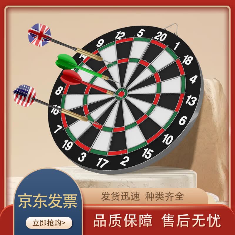 Professional Dartboard & Darts Set