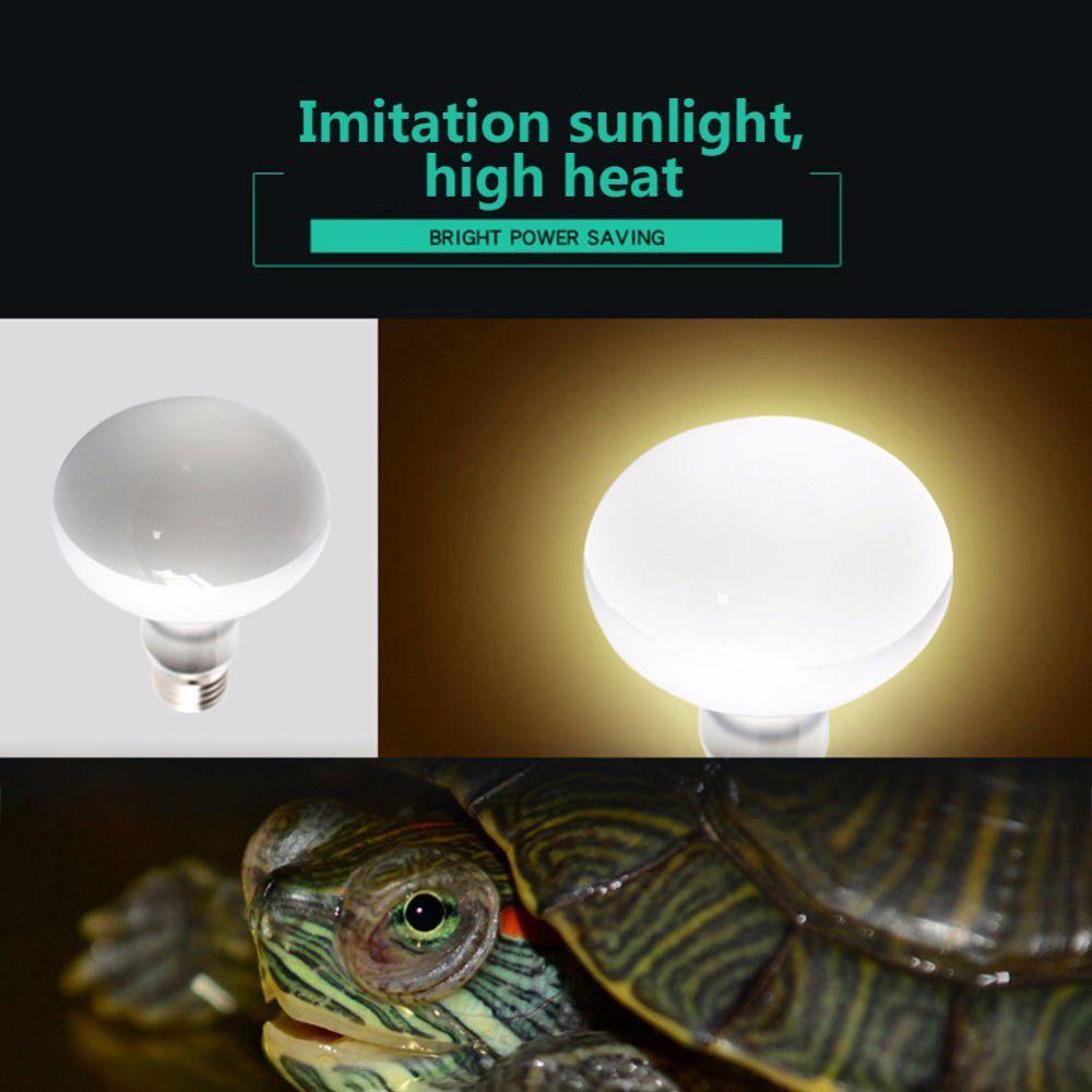 Amphibians Heat Lamp Temperature Controller Reptile Basking Light Halogen Bulb UVA Light