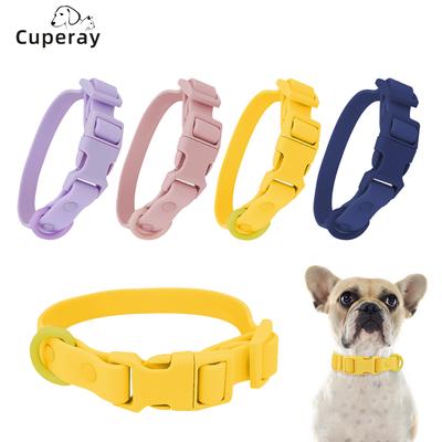 Köpek – Köpek Tasmaları ve Tasma Kayışları