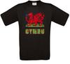 Wales Cymru Cardiff T-Shirt All Sizes