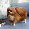 Realista Pomerania Simulación Juguete Perro Cachorro Realista Compañero Juguete Hecho a Mano Perro Caído Juguetes para Mascotas Simulación Relleno