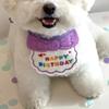 Vibrant Print Pet Birthday Bib Soft Fabric Dog Party Outfit Pet Birthday Hat  Pet Photo Taking