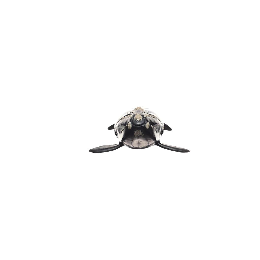 Schleich Wildlife North Atlantic Right Whale 14878