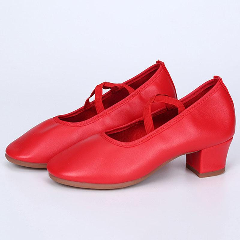 Shoes Ladies Latin Jazz Dancing Shoes Women Salsa Dance Shoe Soft Sole Heels Adult Ballroom Tango Casual Shoe Female Sneakers