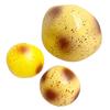 Stress Relief Toy Realistic Mashed Potato Skin Soft Filled Fidget Toy Slow Recovery Dough