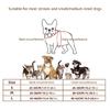 Dog 3D Wing Dress Up Costume Halloween Pet Cosplay Funny Angeles Pet Costume