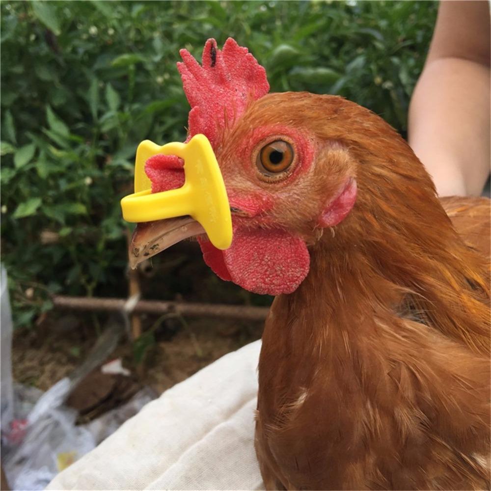 50 Pcs S/M /LPlastic Chicken Glasses Farm Chicken Coop Supplies Chicken Eye Glasses Anti-pecking Glasses Poultry Supplies