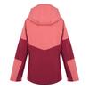 Regatta Womens/Ladies Wentwood IX 3 In 1 Waterproof Jacket