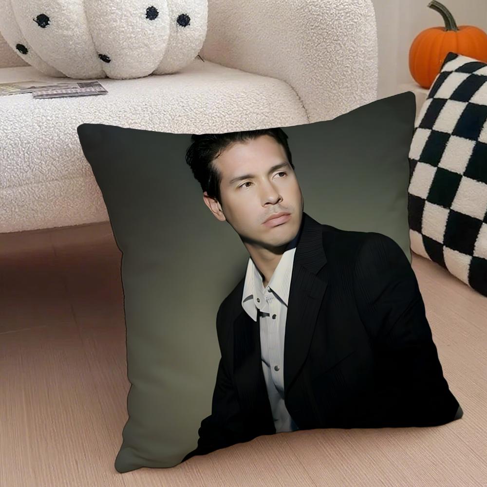 JJon Seda Cushion Cover Throw Pillow Cover Hidden Button Durable Polyester Chair Cushion