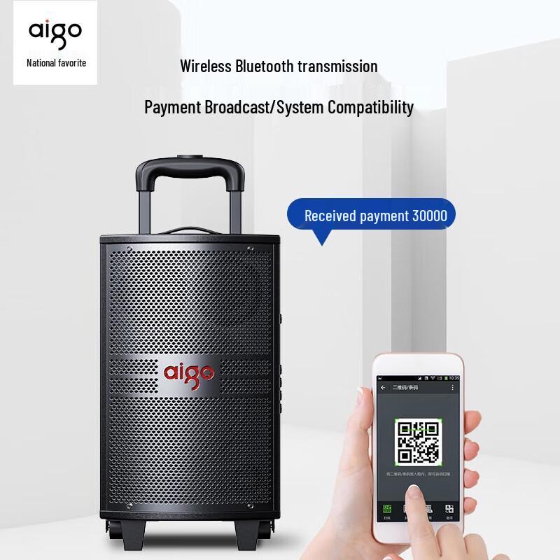 Aigo S312 12-inch Portable PA Speaker