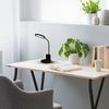 Scuola Black 5W Led Desk Lamp