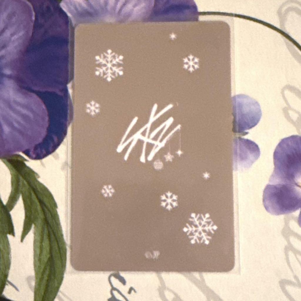 [USED] Stray Kids I.N Foxxny Trading Card Case Photo Card Keychain I.N