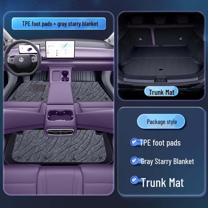 Leapmotor C10 TPE2026 Floor Mats - Complete Set for New Car Interior