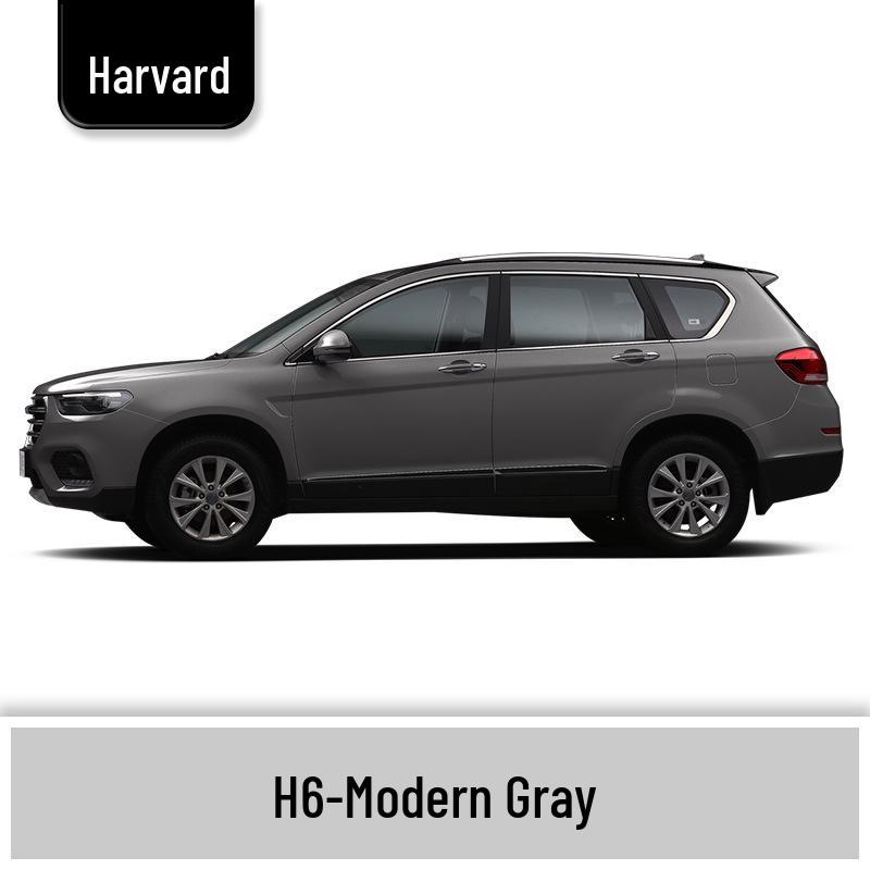 Haval H6 Cool Dog Touch-Up Pen, Black Spot & Ruixue White Scratch Repair Paint