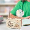 DIY Radio Model Science Set Teaching Materials Unique Experiment Kits 3D Puzzle Toy Ages 6+