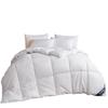 Feather Velvet Quilt: Breathable Comforter for All Seasons - Ideal for Dorms, Hotels, and Guest Houses