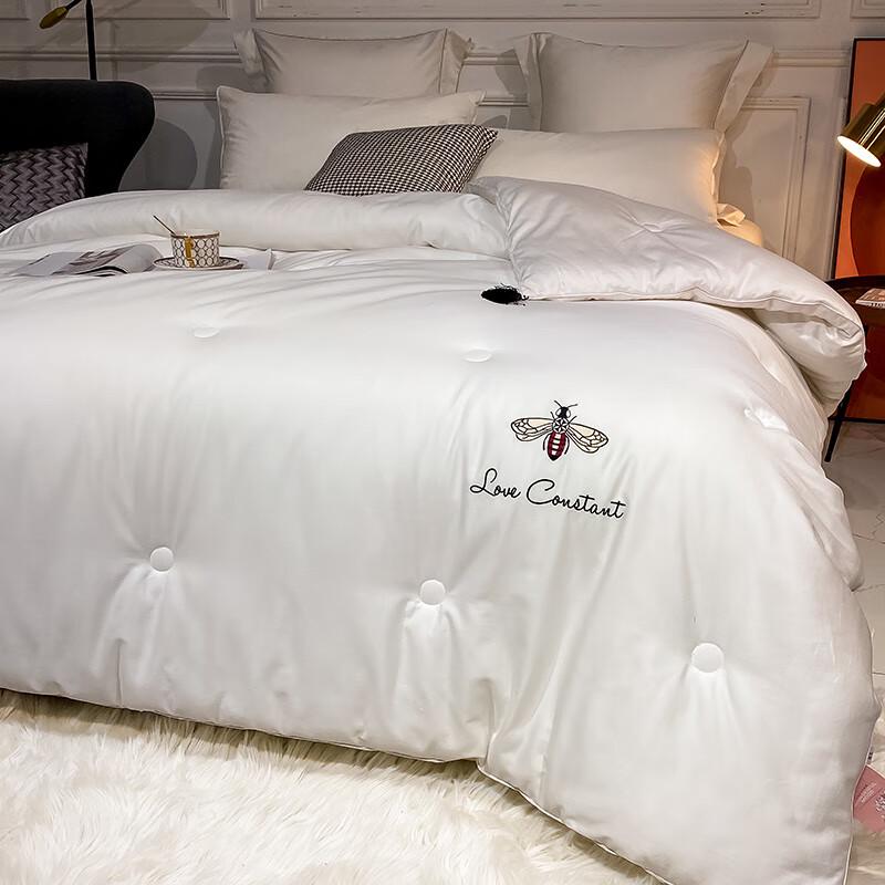 

Yiyiai Fashion Polyester Fiber Duvet Insert