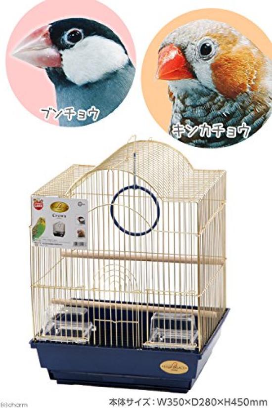 Minimal Land Birdcage Bird Palace Crown