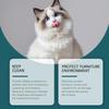 Cat and Dog Deterrent Spray 100ml Bitter Formula Prevents Chewing   Furniture Protector Home Use