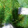 PET Bulk Holographic Glitter 1KG Mixed Chunky Glitter Powder for Crafts