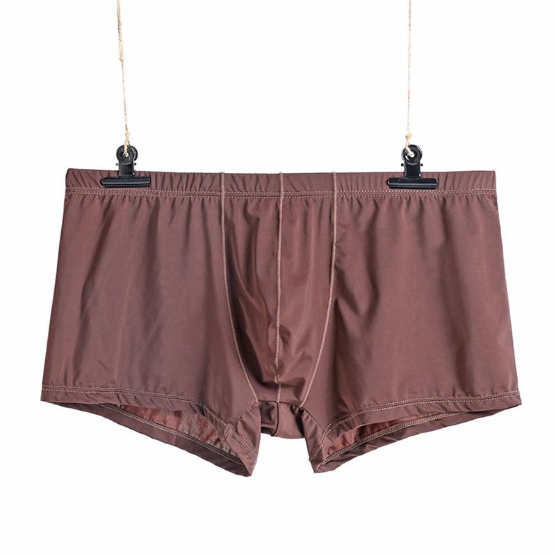 Men's Ice Silk Transparent Low-Waist Breathable Boxer Briefs, Slim Fit, Trendy Summer Youth Underwear