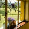 Glass Door Static Clings Halloween Spider Window Clings PVC Waterproof Web Decals Black Wall Decor Removable Spooky Stickers for Indoor Outdoor