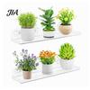 Wall Mounted Storage Rack Window Plant Shelf with Suction Cup And Protective Edge, Clear Acrylic Floating Sturdy Organizer Display Shelf, for