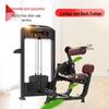Jubao Feng TE31 Commercial Waist Back Trainer