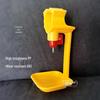 Automatic Chicken Drinker: Hanging Cup with Nipple Spout for Chick Rearing and Poultry Water Line