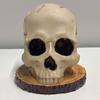 Skull Knife Holder Creative Horror Head Knife Rack Horror Skull Knife Rack Halloween Party Decoration