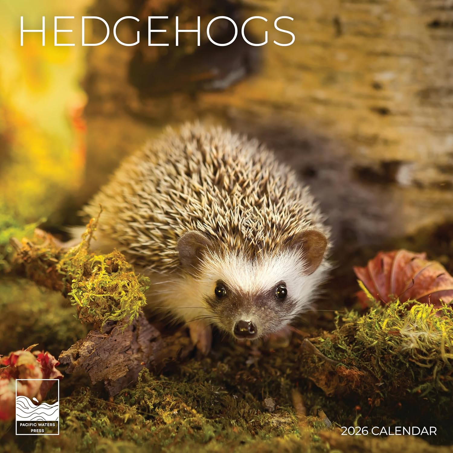 2026 National Parks Wall Calendar 12 Month | 12  x 24  Open | Giftable | Nature Calendar 2026 | Thick & Sturdy Paper for Calendar Organizing & Hedgehog
