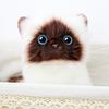 Cute Siamese Cat Plush Toy Soft Stuffed Animal Blue Sequins Eyes Brown White Face Decor Christmas Birthday New Year Present
